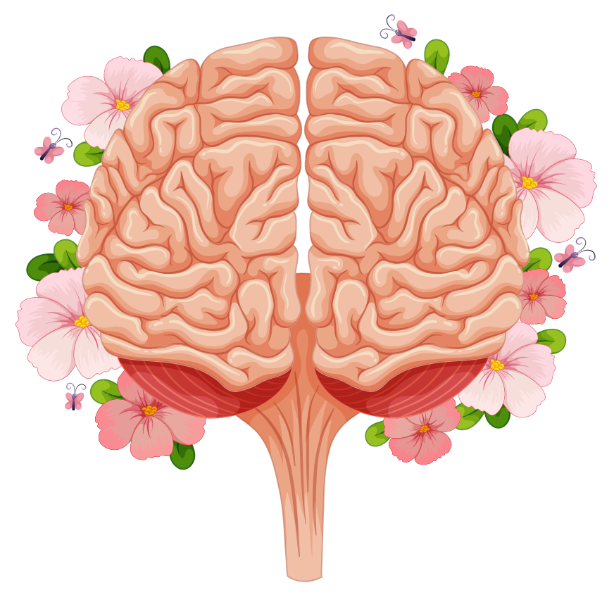 CÉREBRO florido